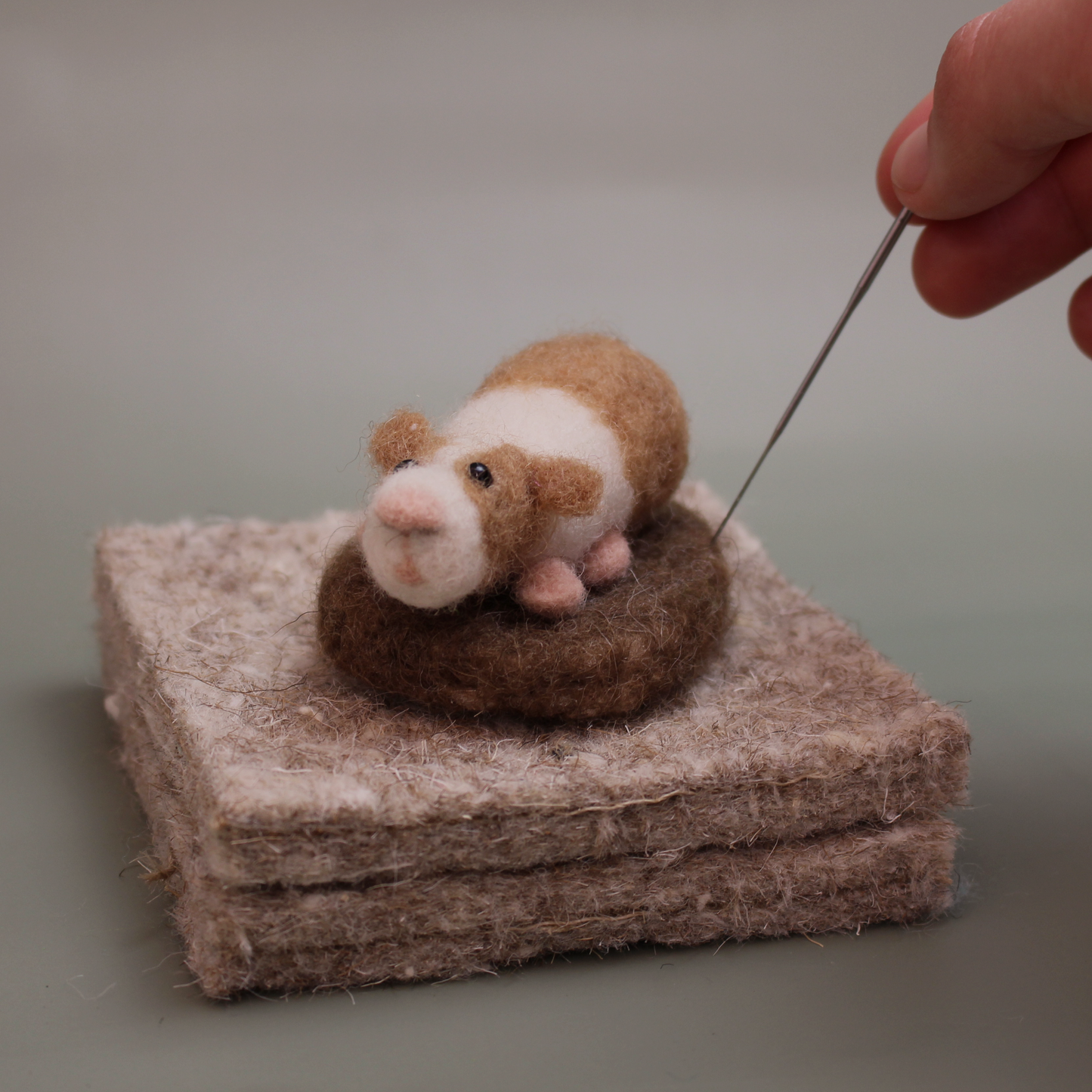 Guinea Pig Amiguwoolli Mini Needle Felt Kit - The Makerss