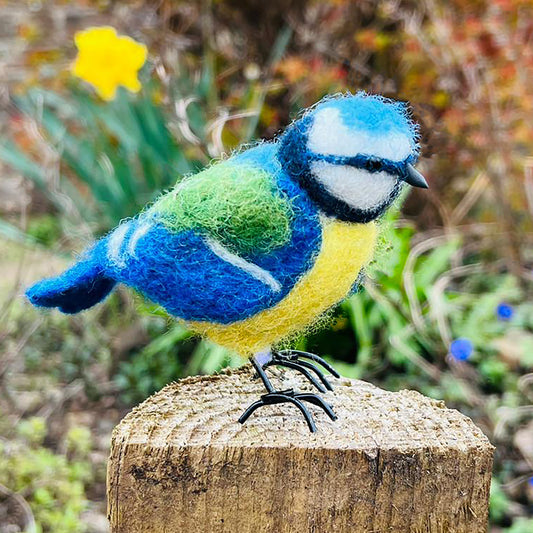 Blue Tit Small Needle Felt Kit - The Makerss