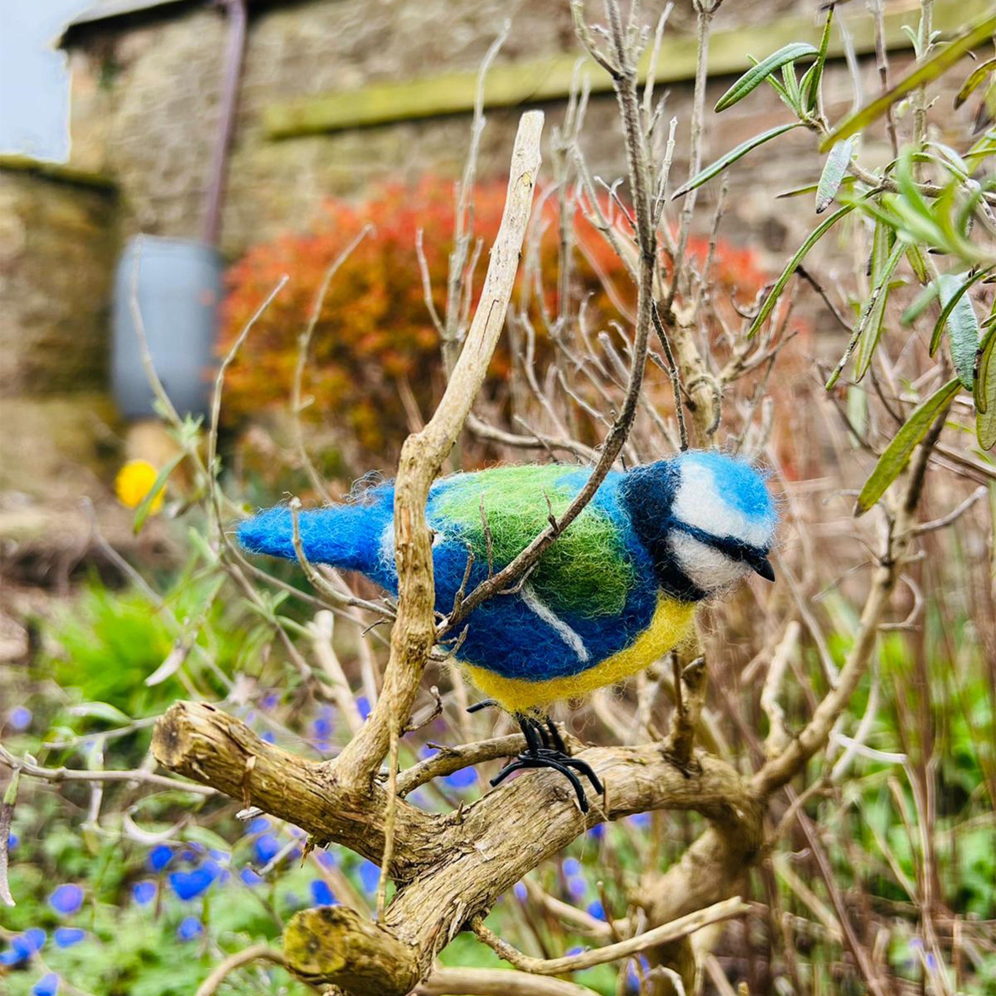 Blue Tit Small Needle Felt Kit - The Makerss