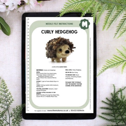 Curly Hedgehog Small Needle Felt Kit - The Makerss