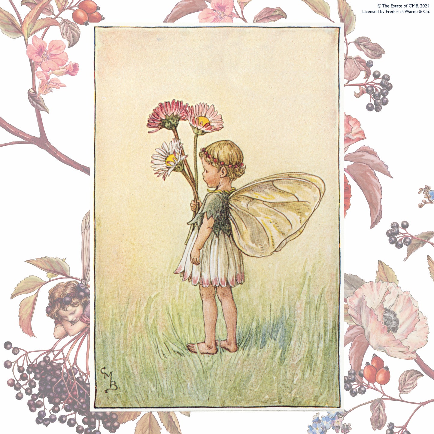 Official Flower Fairies™️ Daisy Fairy Needle Felt Kit - The Makerss