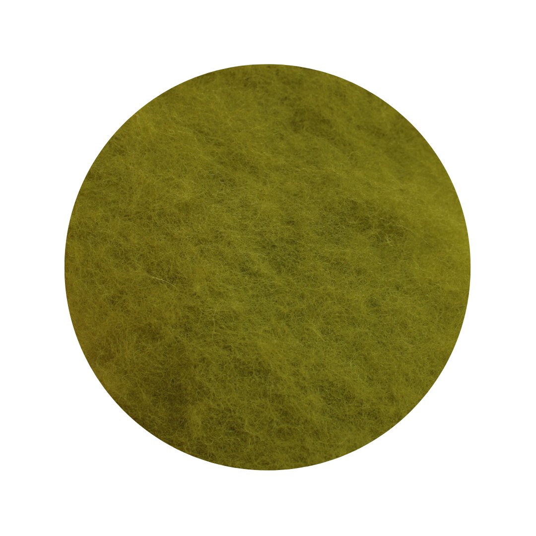 Dark Lichen Green Carded Wool - various weights