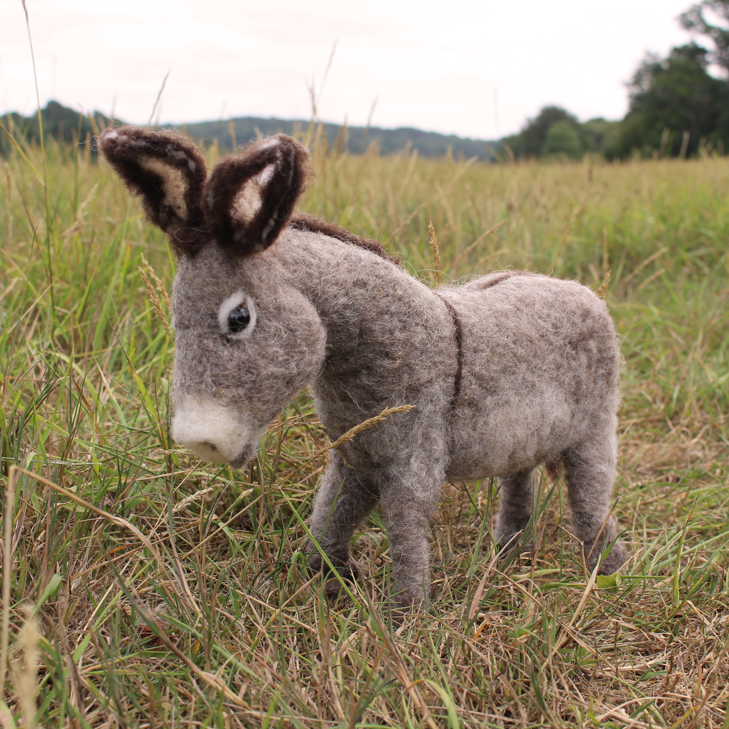 Fundraiser Donkey Large Needle Felt Kit - Supporting Donkey Sanctuary in Nailsworth - The Makerss