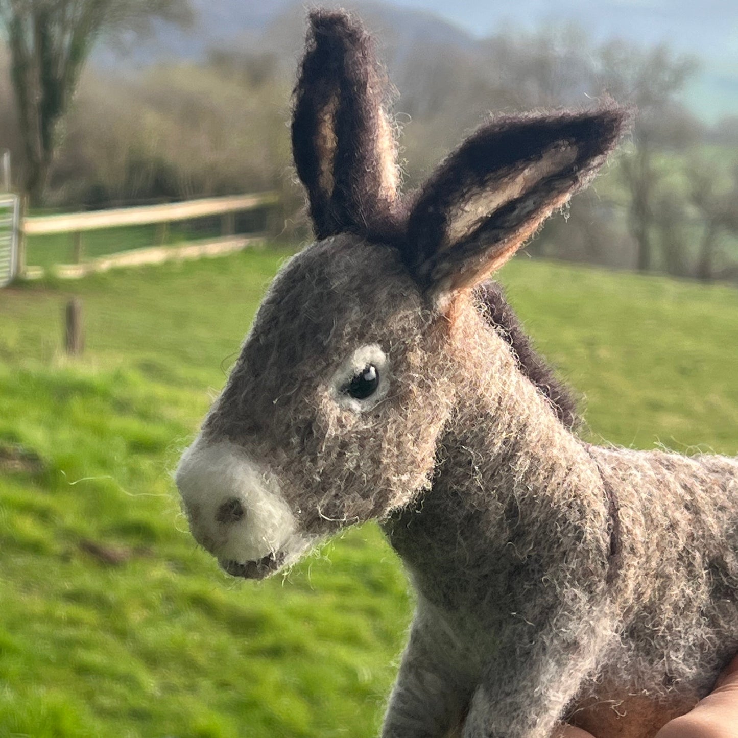 Fundraiser Donkey Large Needle Felt Kit - Supporting Donkey Sanctuary in Nailsworth - The Makerss