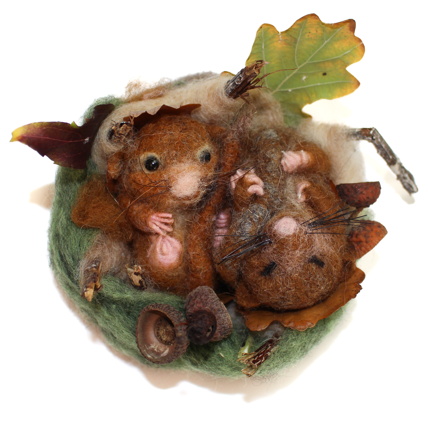 Dormice with nest Needle Felt Kit
