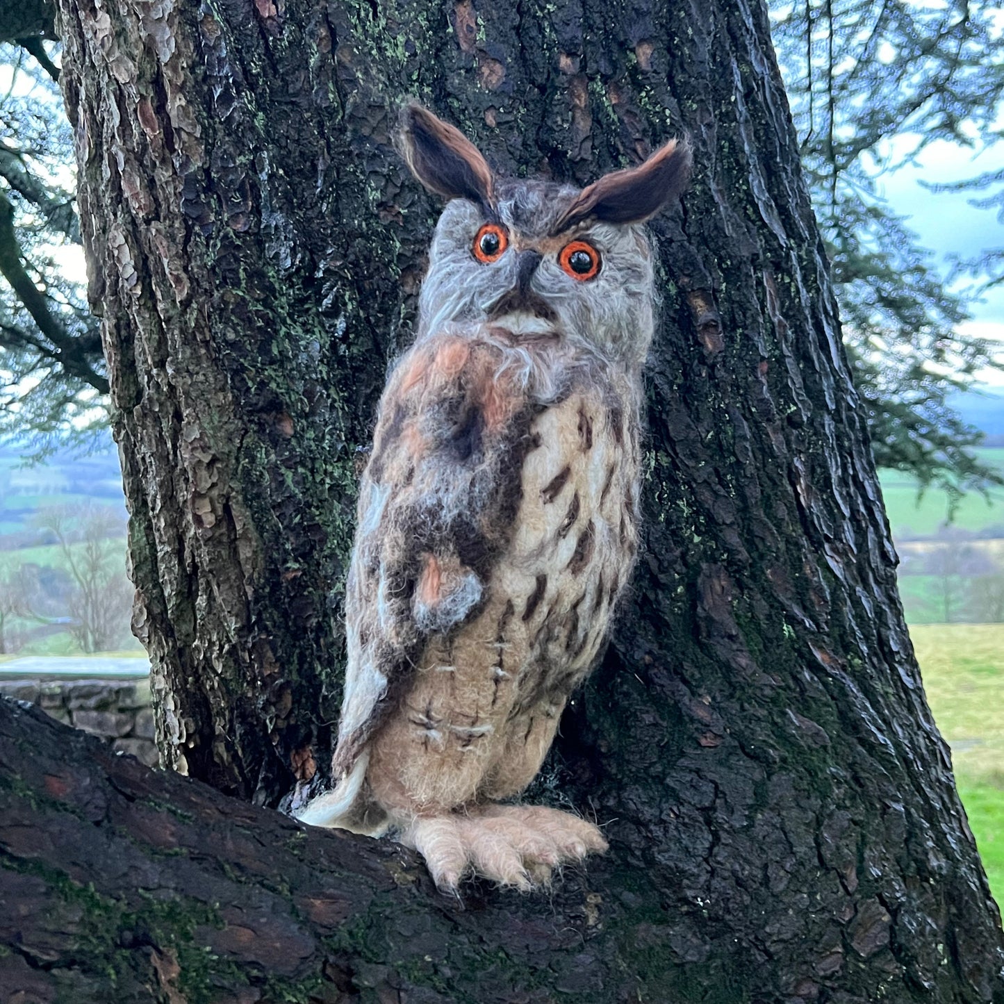 2026 Winter Needle Felting Retreat - 23-25 January - Realistic Owls - The Makerss