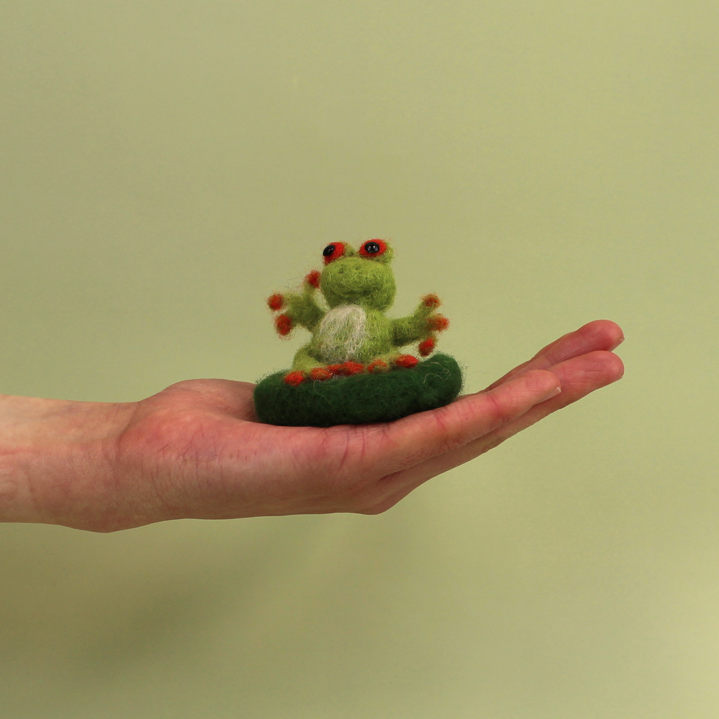 Frog Amiguwoolli Mini Needle Felt Kit - The Makerss