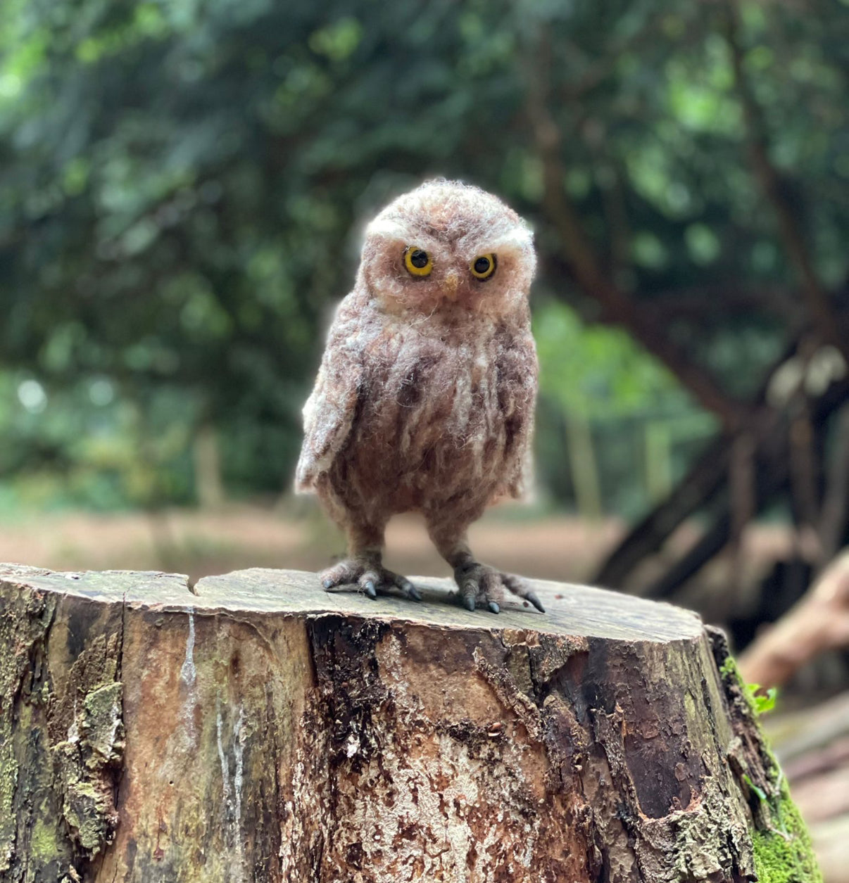 2026 Winter Needle Felting Retreat - 23-25 January - Realistic Owls - The Makerss