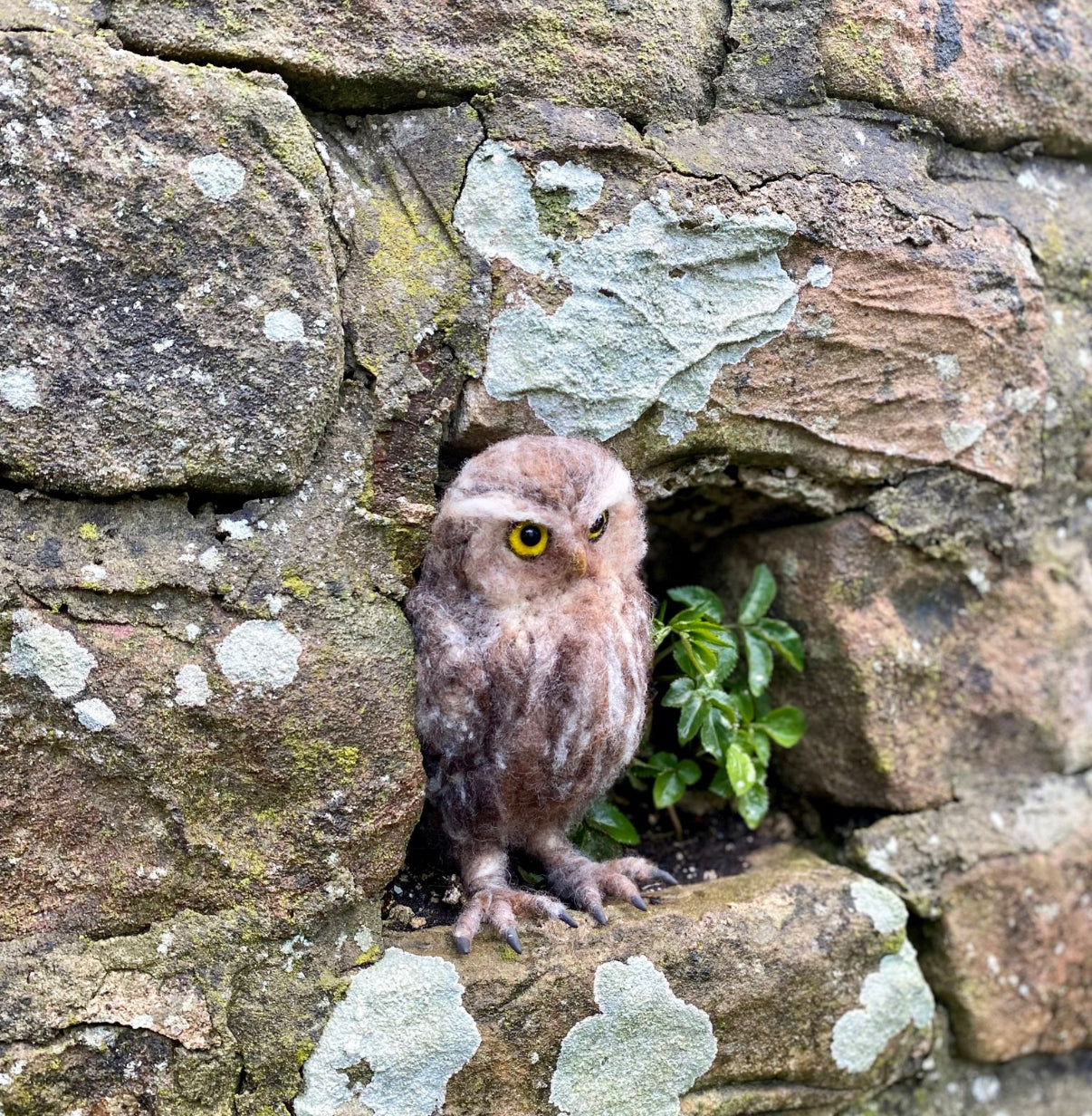 2026 Winter Needle Felting Retreat - 23-25 January - Realistic Owls - The Makerss
