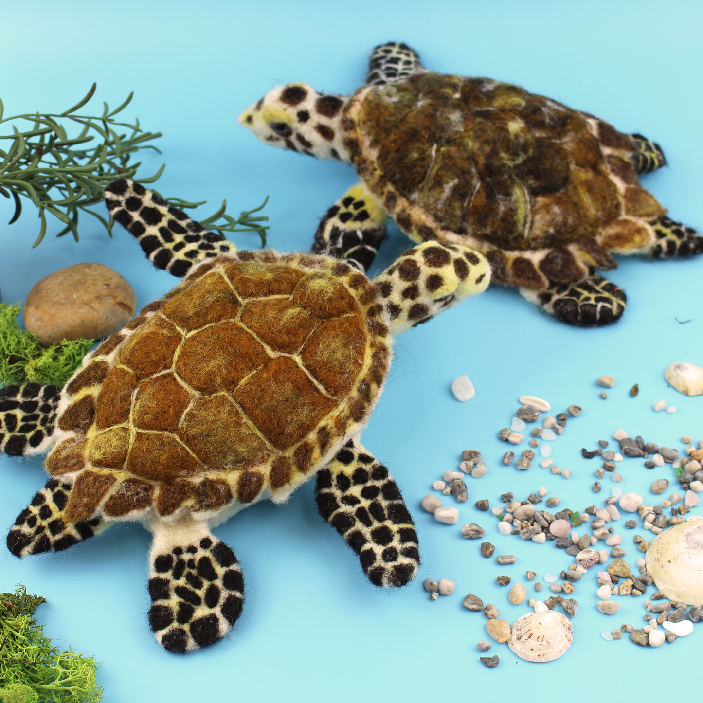 Hawksbill Turtle Needle Felt Kit - no tools - The Makerss