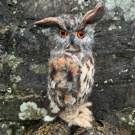 Eagle Owl Needle Felt Pack - The Makerss