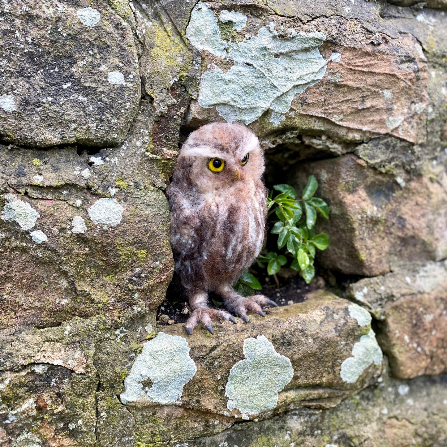 2026 Winter Needle Felting Retreat - 23-25 January - Realistic Owls - The Makerss