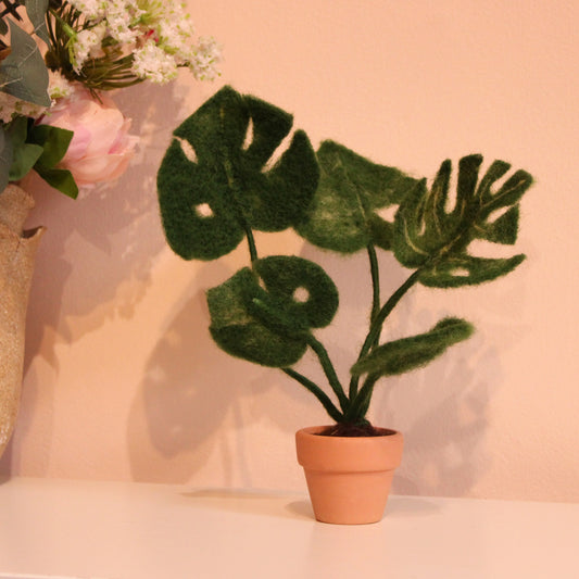 Monstera Plant Small Needle Felt Kit - The Makerss