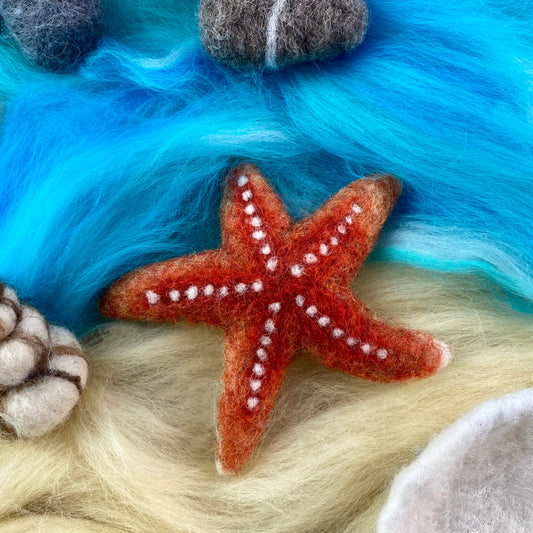 Starfish Small Needle Felt Kit - The Makerss