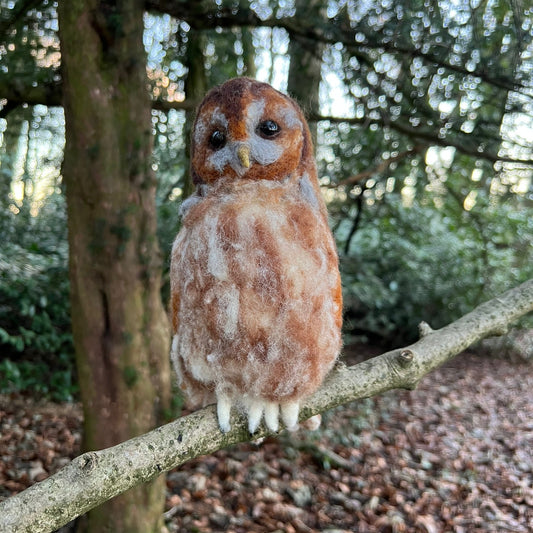 Tawny Owl Needle Felt Pack - The Makerss