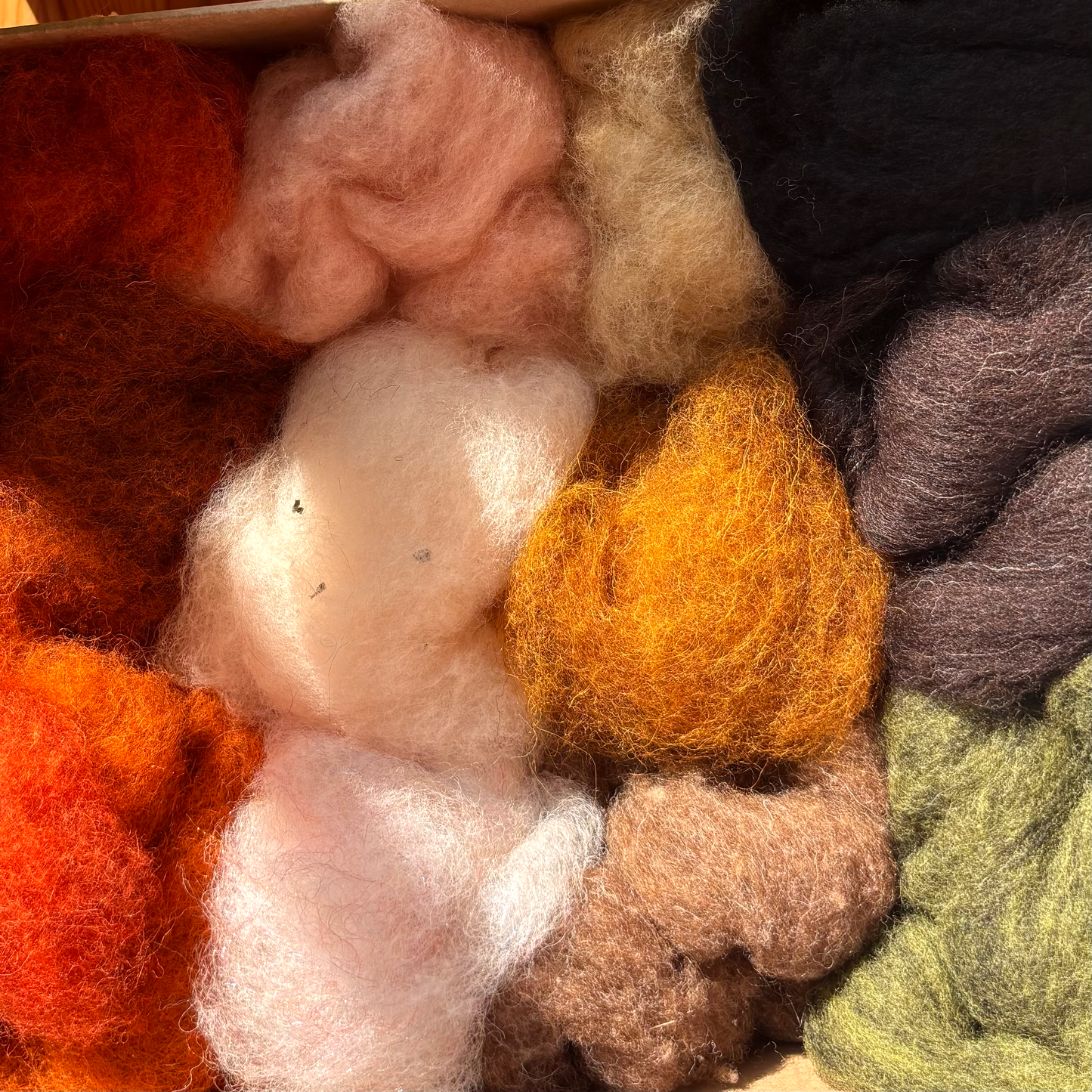 Woolly Wonder Box - 250g of felting wool in 12 different colours - The Makerss