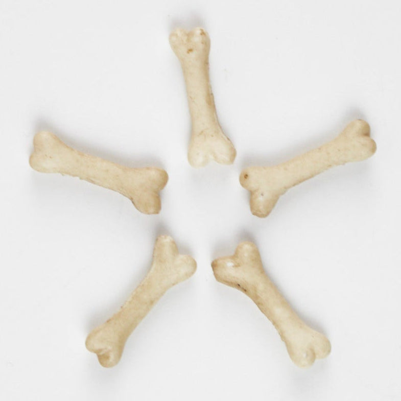 Miniature Bones for Needle Felted Characters - The Makerss