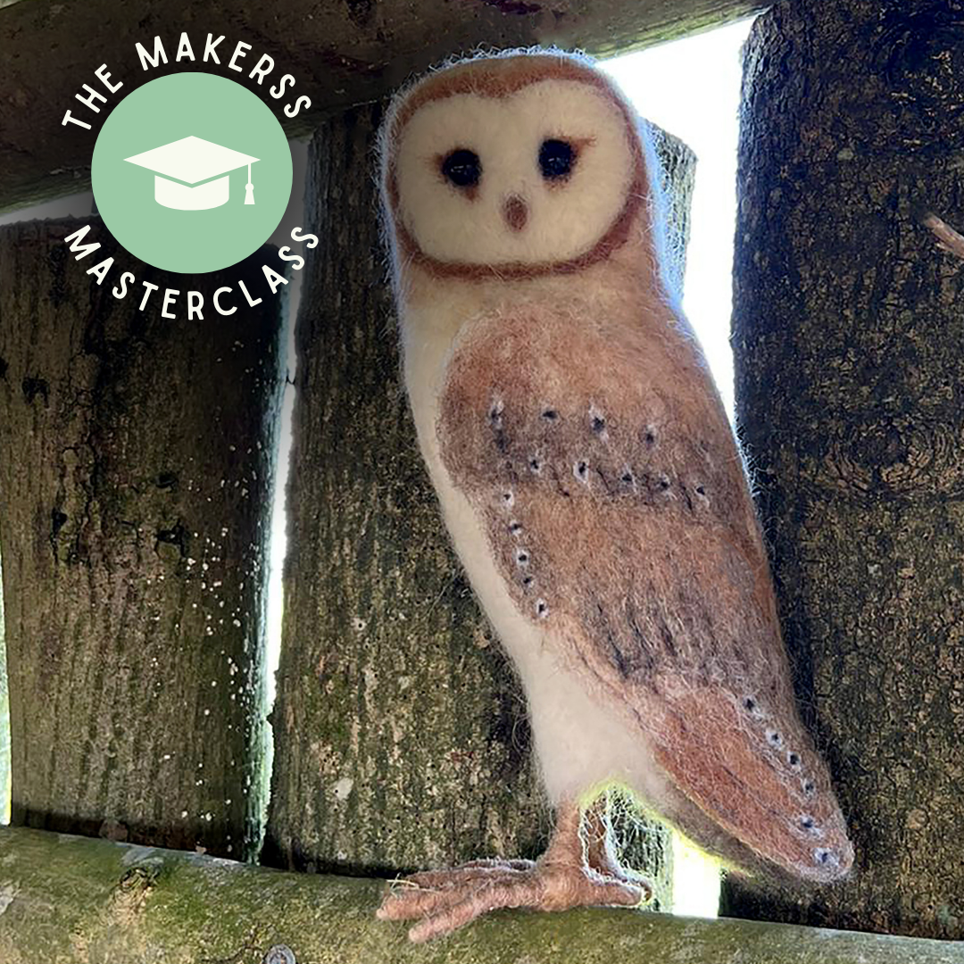 Video Makerss Masterclass - Large Barn Owl - The Makerss