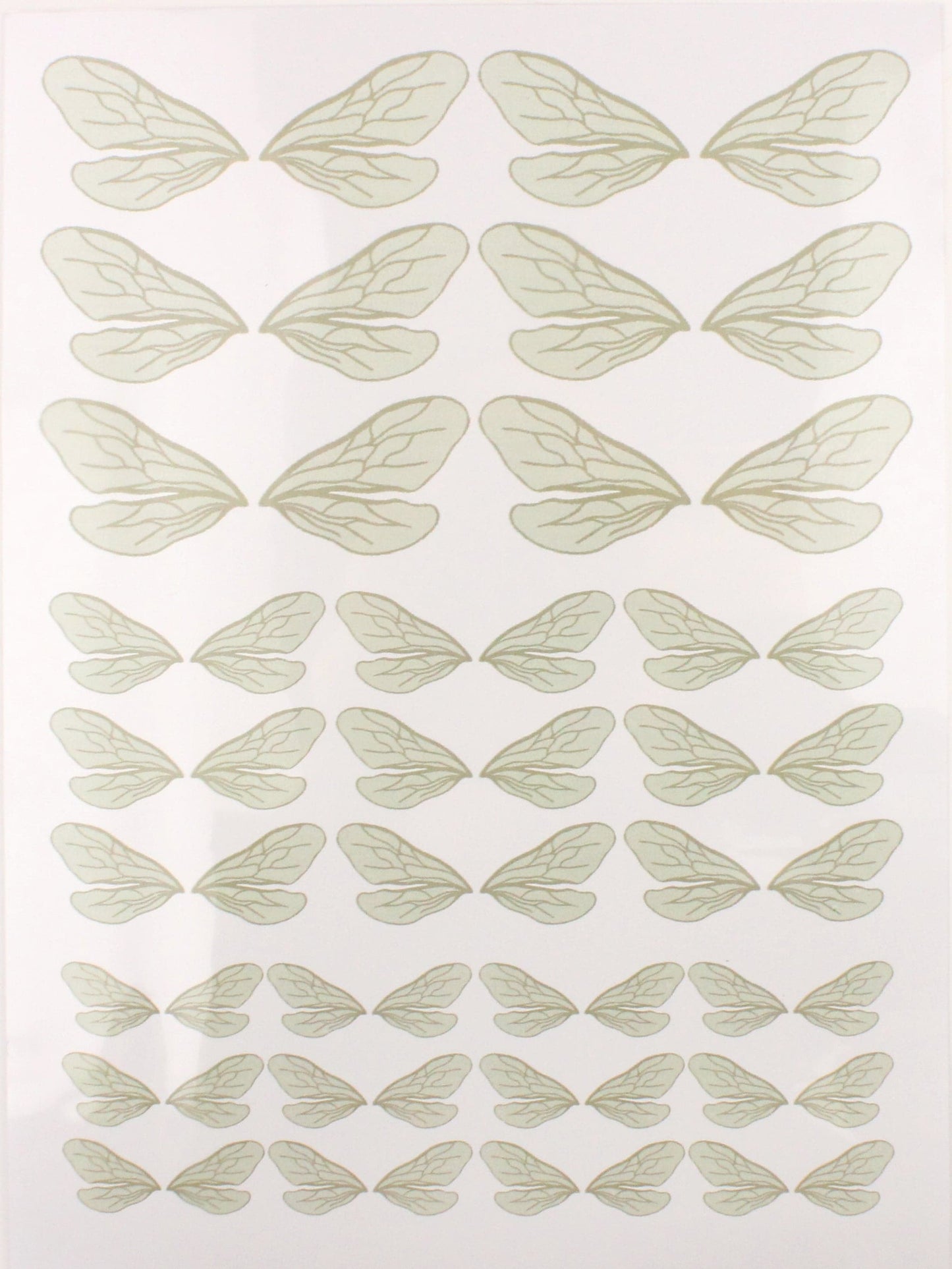 Wings On Acetate-A4 - The Makerss