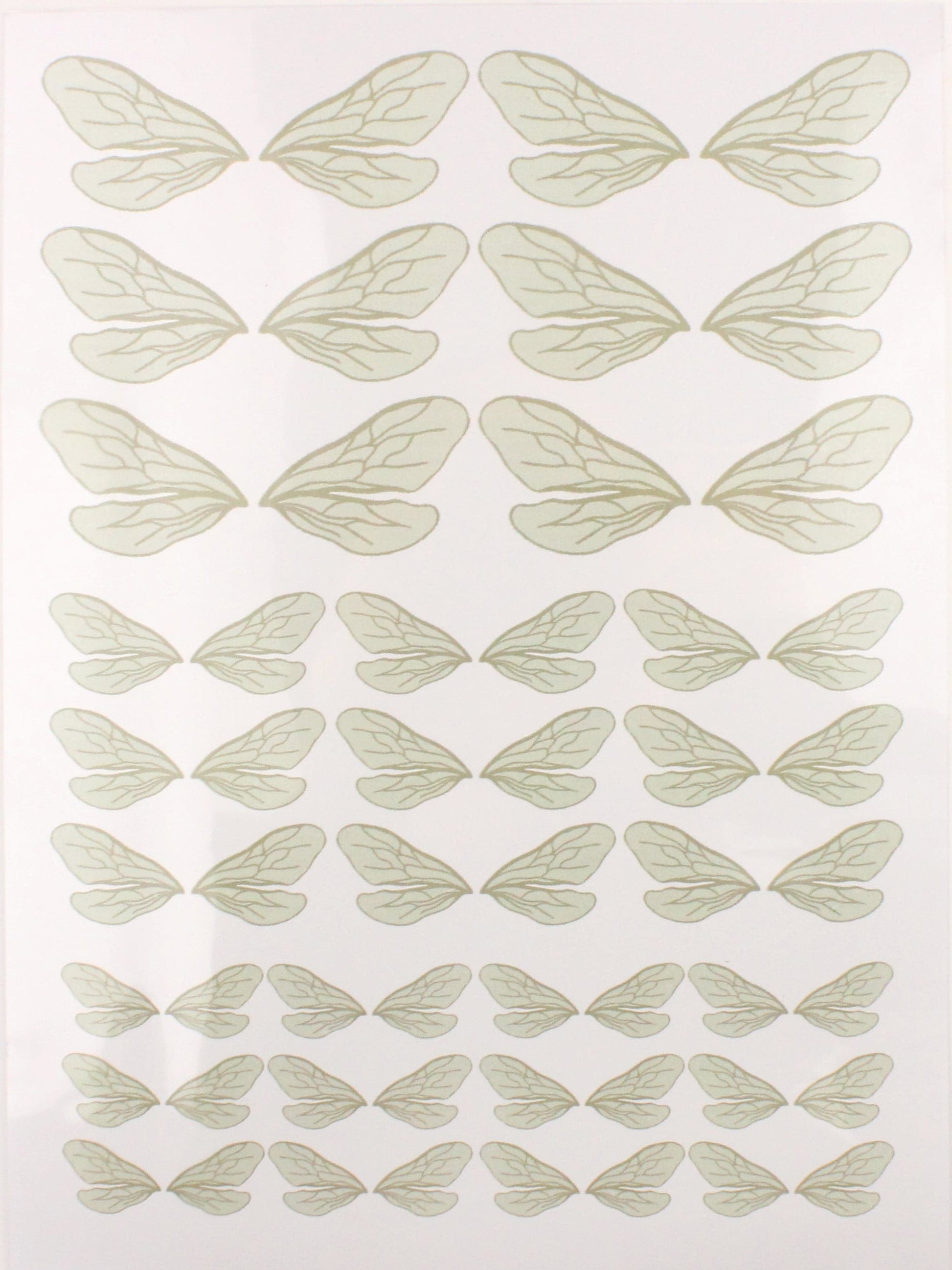 Wings On Acetate-A4 - The Makerss