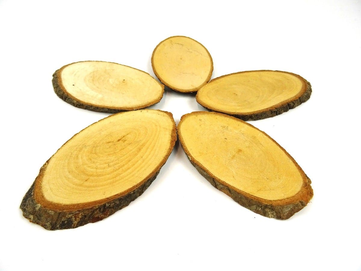 Wood Base / Slice - 3 sizes available - The Makerss