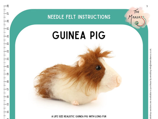 Guinea Pig Instructions PDF - The Makerss