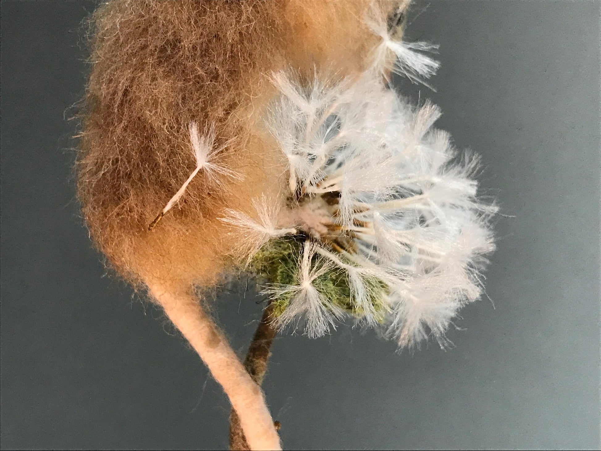 Makerss Masterclass - Harvest Mouse with Agnese Davies - The Makerss