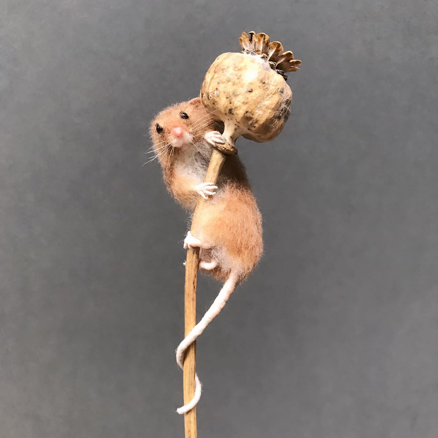 Makerss Masterclass - Harvest Mouse with Agnese Davies - The Makerss