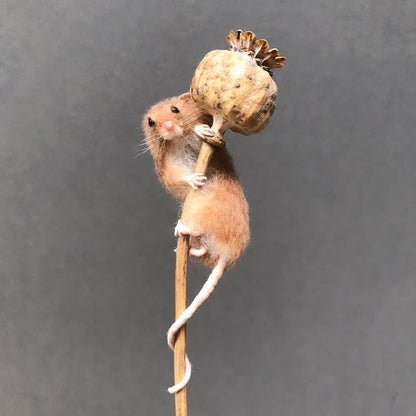 Makerss Masterclass - Harvest Mouse with Agnese Davies - The Makerss