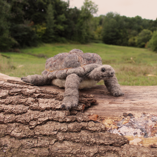 Giant Tortoise Needle Felt Kit
