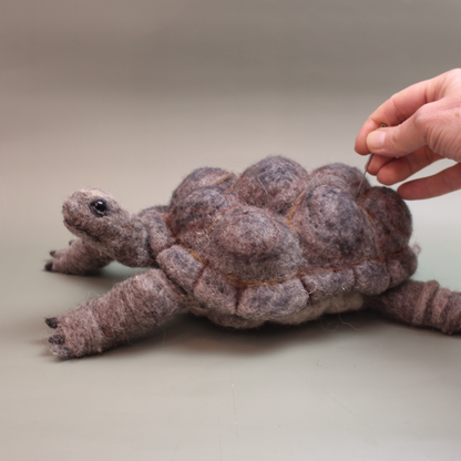 Giant Tortoise Needle Felt Kit