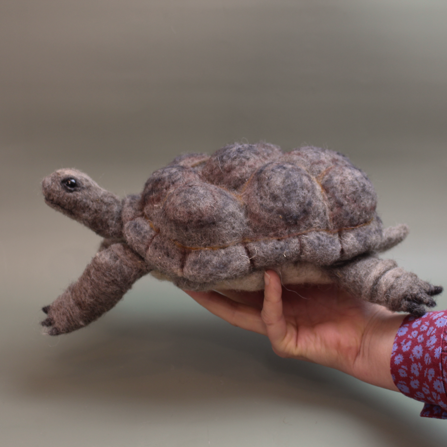 Giant Tortoise Needle Felt Kit