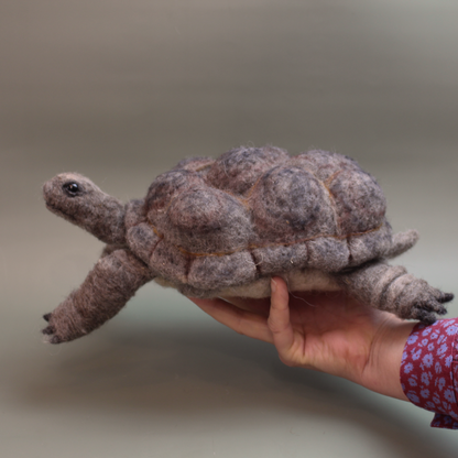 Giant Tortoise Needle Felt Kit