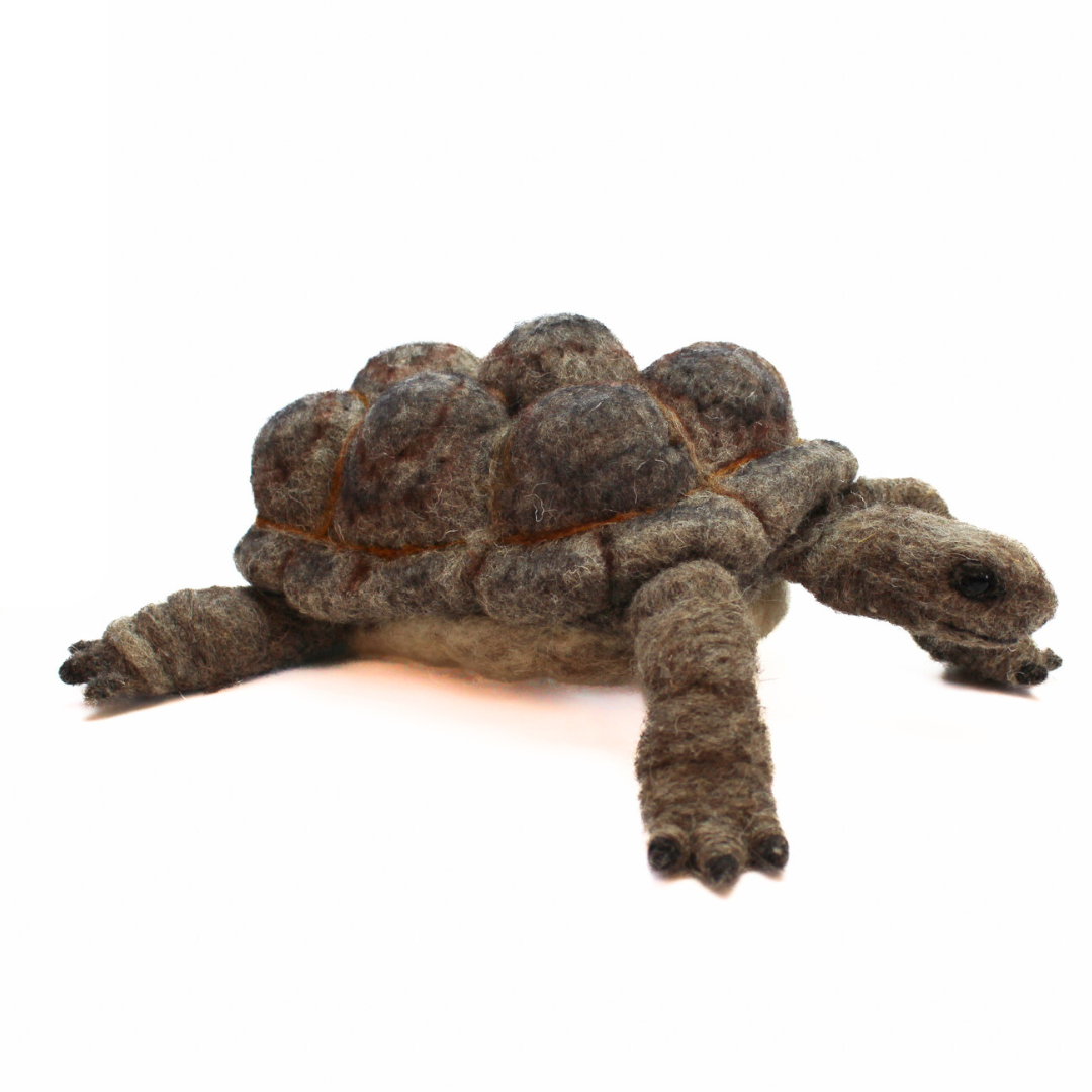 Giant Tortoise Needle Felt Kit