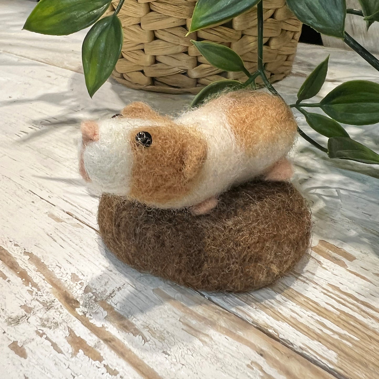 Guinea Pig Amiguwoolli Mini Needle Felt Kit - The Makerss