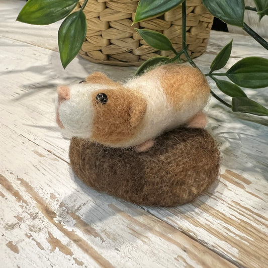 Guinea Pig Amiguwoolli Mini Needle Felt Kit - The Makerss