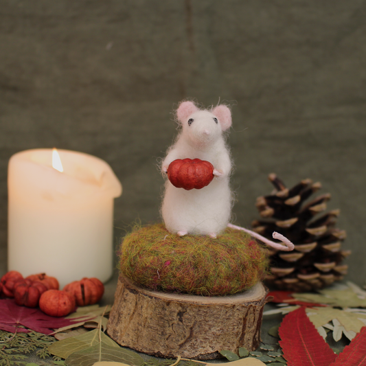 Mouseling Amiguwoolli Autumn Mini Needle Felt Kit