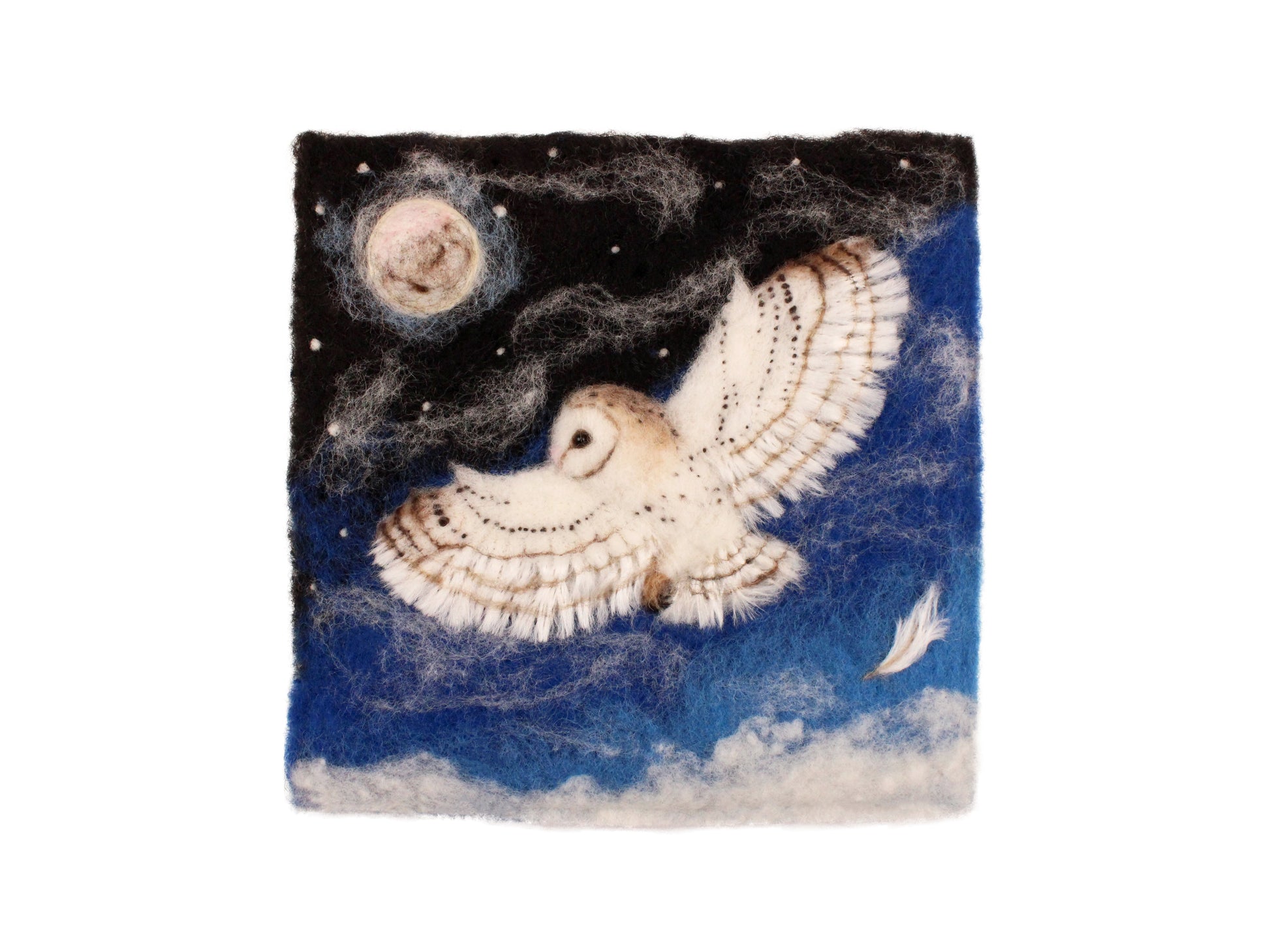 Barn Owl Picture Needle Felting Workshop with Artist Agnese Davies Thursday 8th February - The Makerss