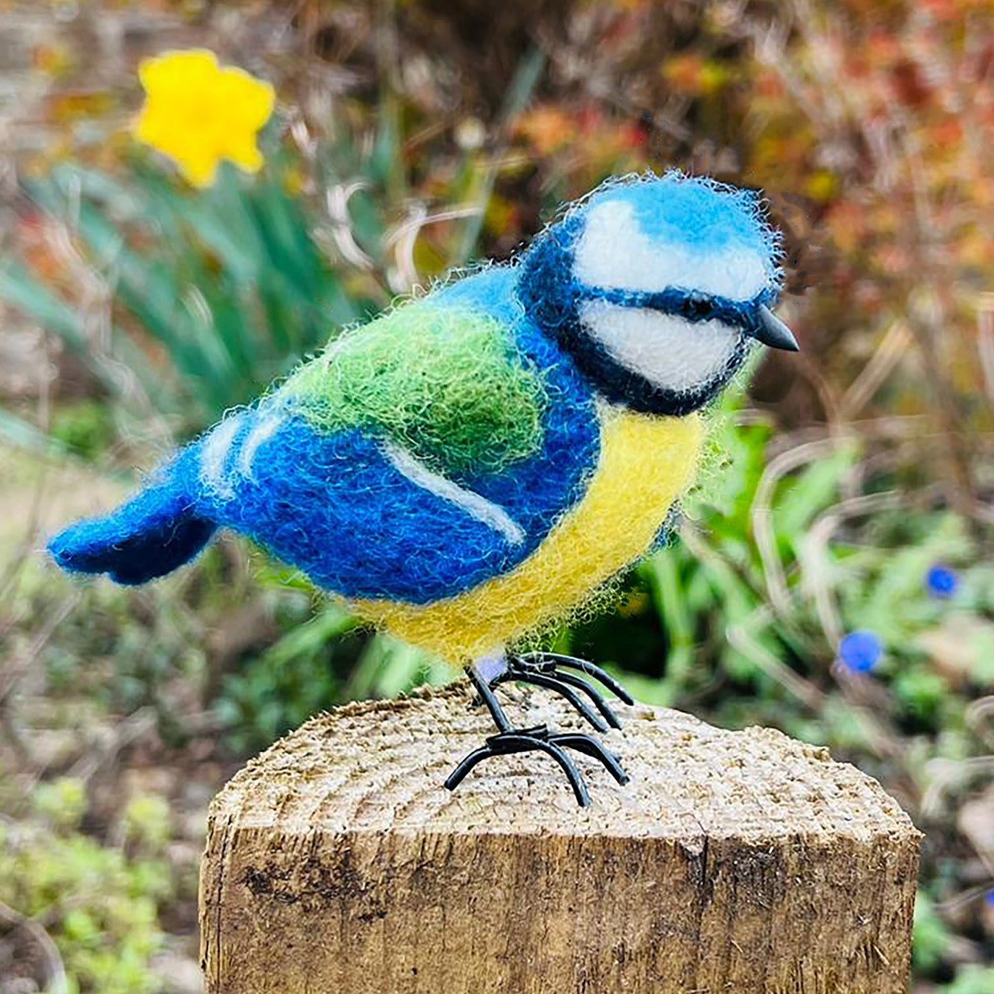 New and improved - Blue Tit Small Needle Felt Kit - The Makerss