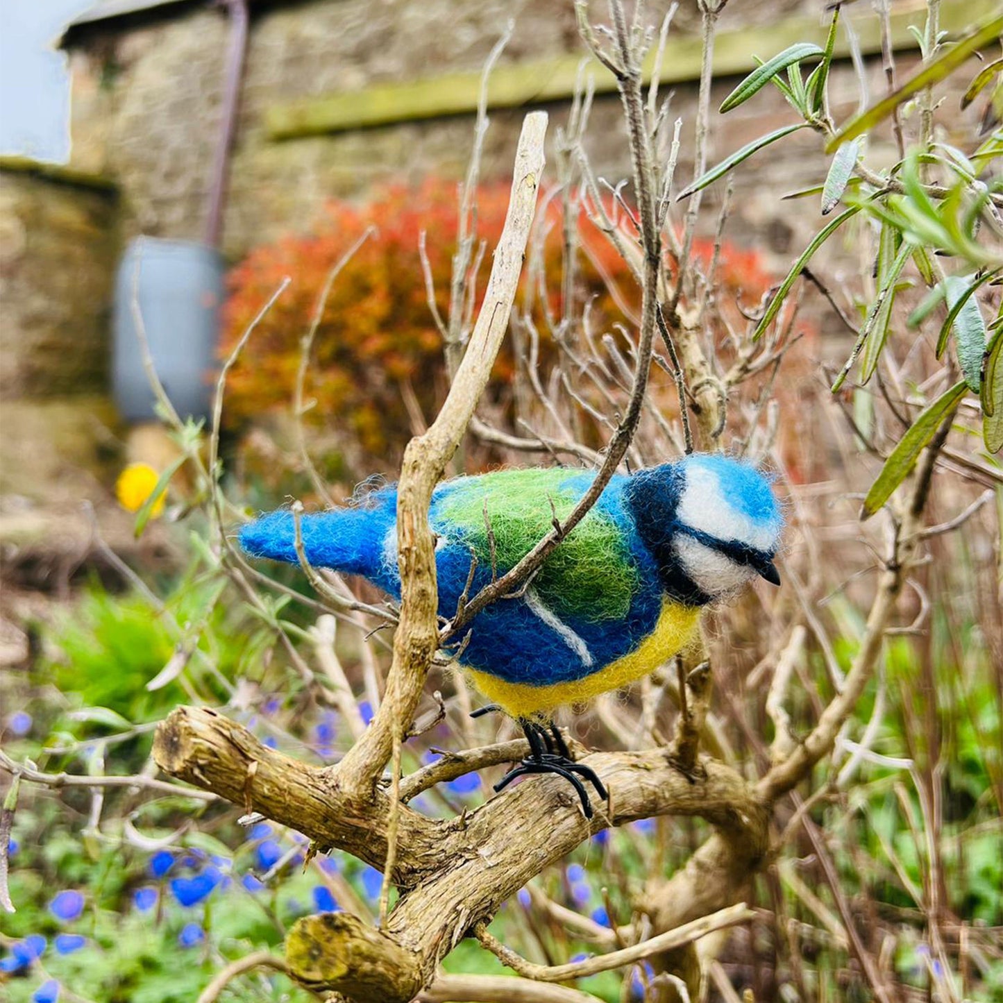 New and improved - Blue Tit Small Needle Felt Kit - The Makerss