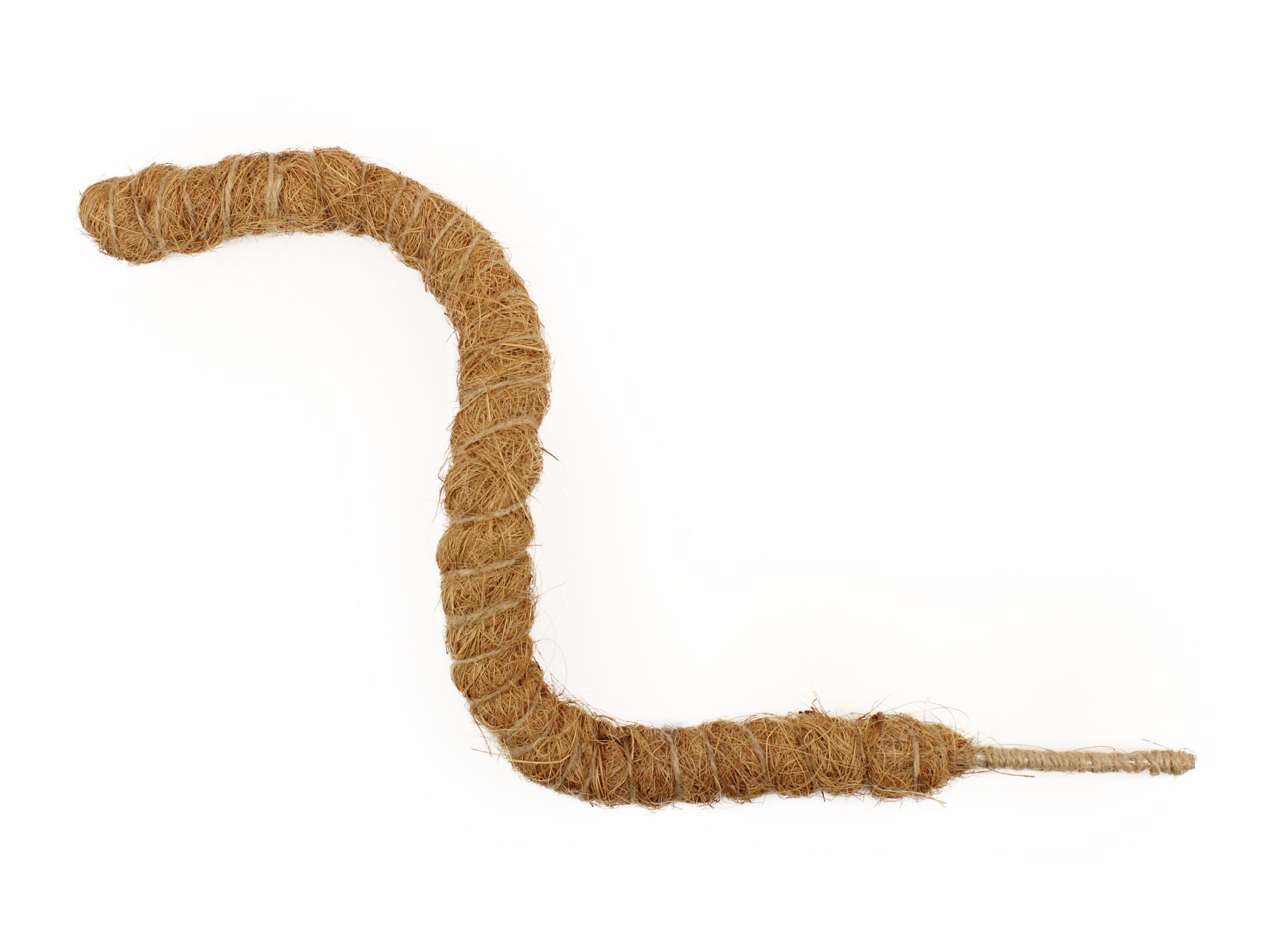 Coconut Palm Pose-able Sticks In Various Lengths - The Makerss