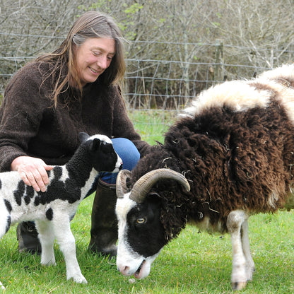 Jacob Sheep British Wool Small Kit - The Makerss