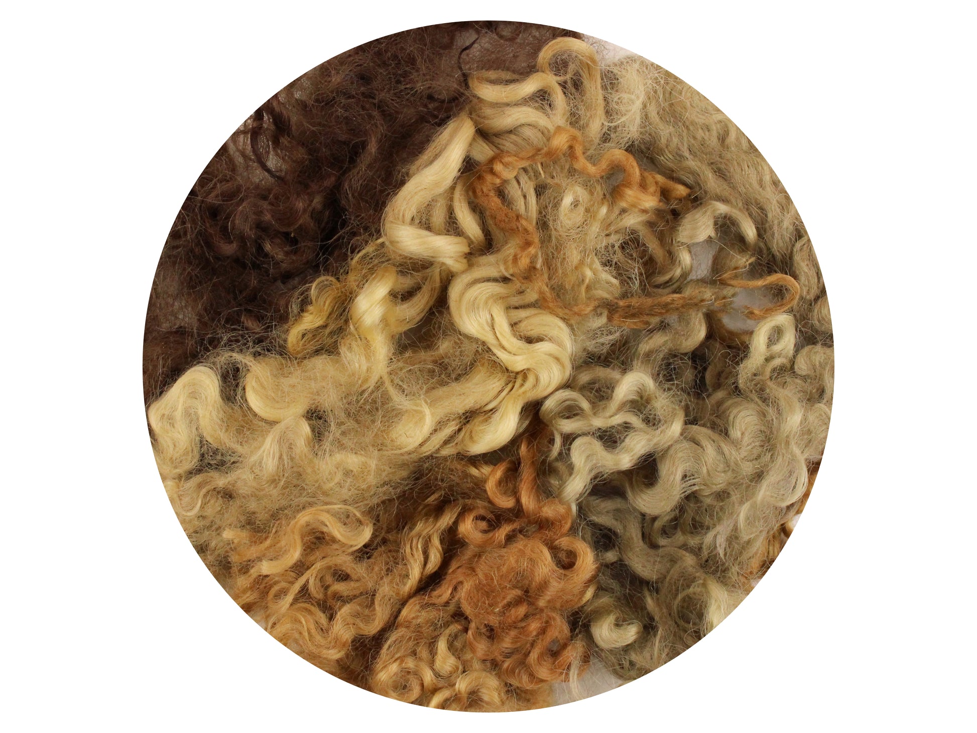 Wensleydale Curls - dyed brown mix 12g - The Makerss