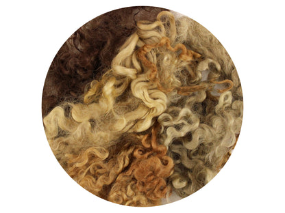 Wensleydale Curls - dyed brown mix 12g - The Makerss