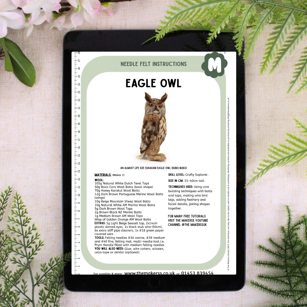 Eagle Owl Needle Felt Pack - The Makerss