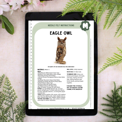 Eagle Owl Needle Felt Pack - The Makerss