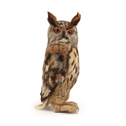 2026 Winter Needle Felting Retreat - 23-25 January - Realistic Owls - The Makerss