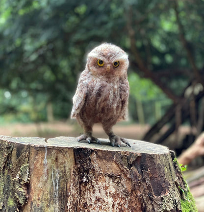 2026 Winter Needle Felting Retreat - 23-25 January - Realistic Owls - The Makerss