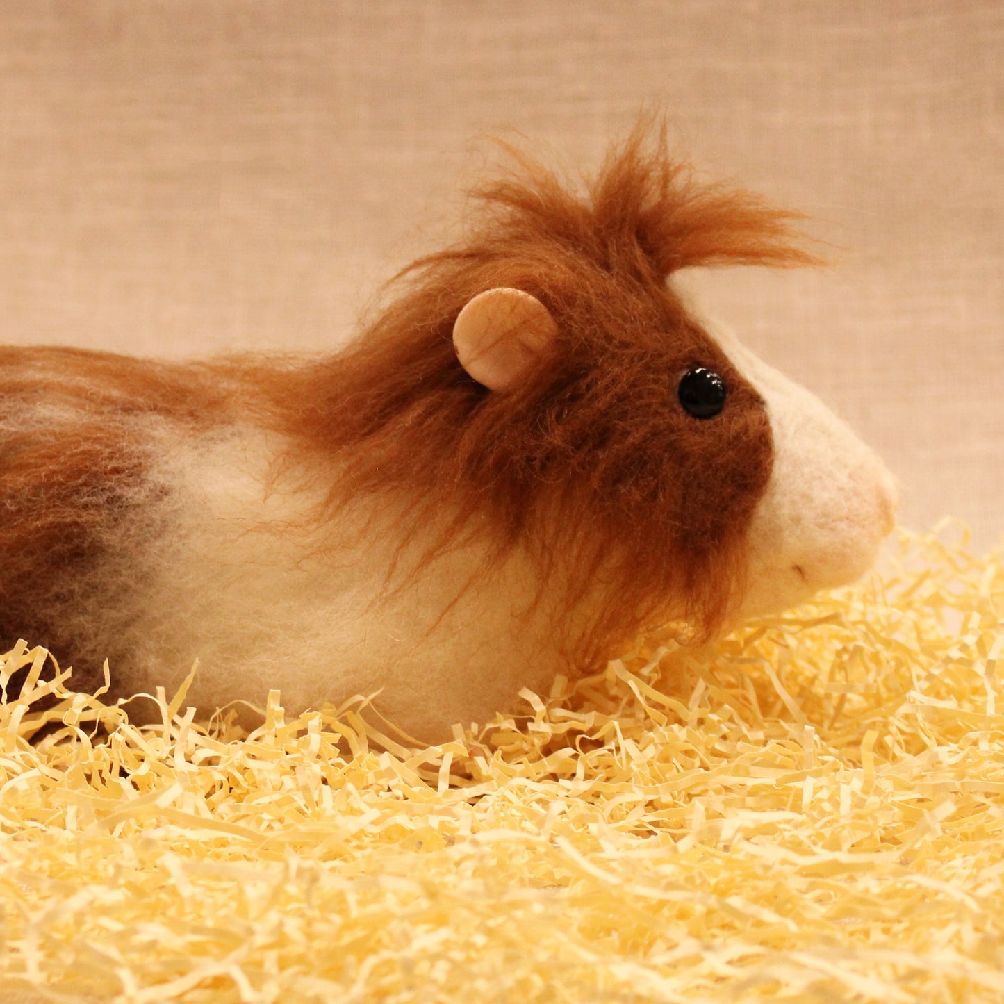 Life size Guinea Pig Needle Felt Kit - tools optional - The Makerss