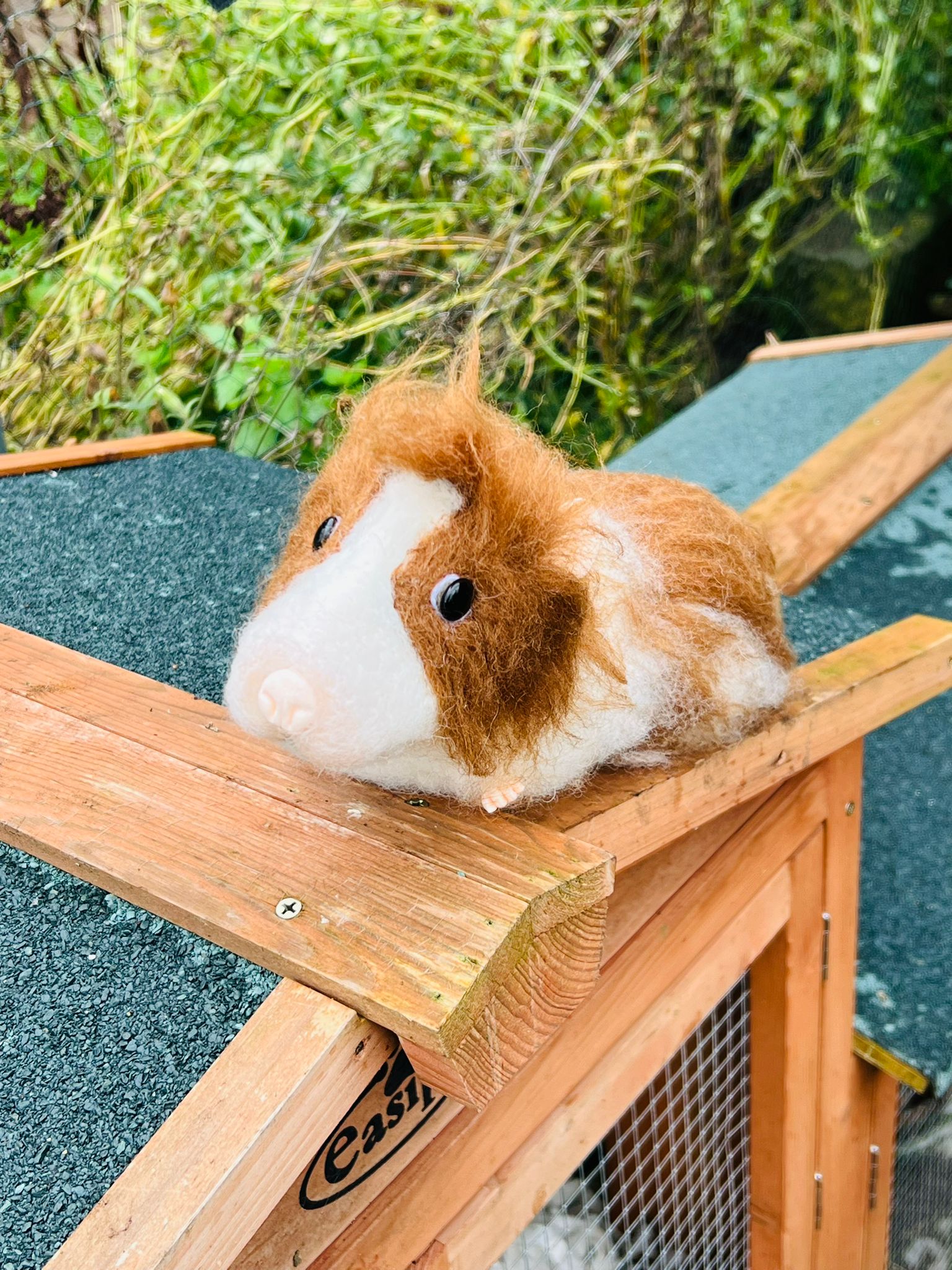 Life size Guinea Pig Needle Felt Kit - tools optional - The Makerss